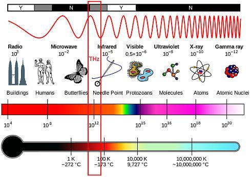 electromagnetic spectrum. THz band is marked red